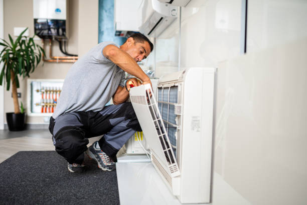Best Air Duct Mold Removal  in Winchester, IL