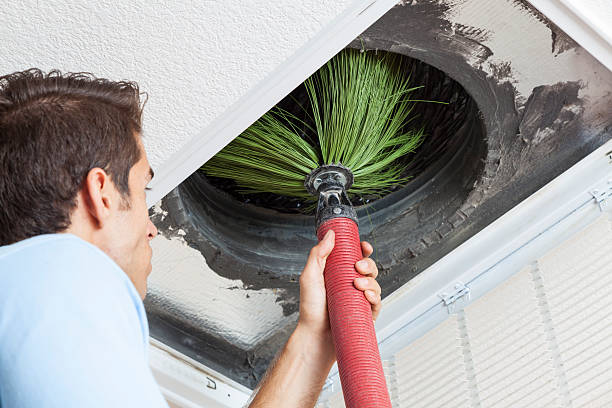 Best Affordable Duct Cleaning Services  in Winchester, IL