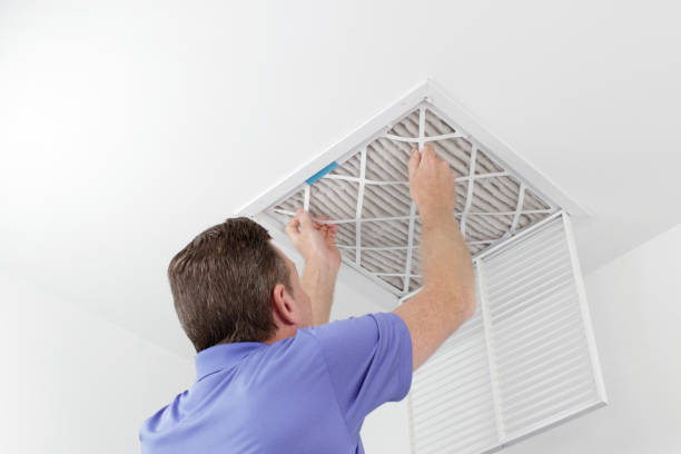 Best Air Vent Cleaning Services  in Winchester, IL